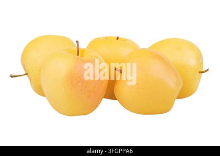 Cinq pommes jaunes isolées sur un fond blanc. Pommes Golden Delicious Banque D'Images