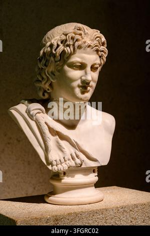 Tête d'un satyre. Romain, milieu du IIe siècle après J.-C. Marbre. Le musée Calouste Gulbenkian, Lisbonne, Portugal. Banque D'Images