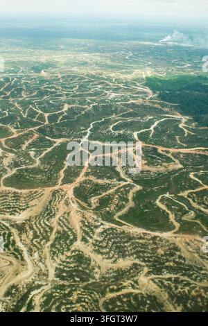Vue aérienne d'une forêt tropicale rasée pour une plantation de palmiers à huile à Bornéo, Sarawak, Malaisie Banque D'Images