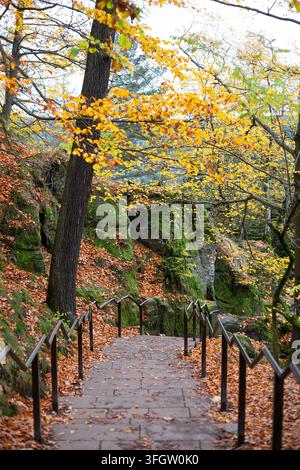 Prise de vue verticale regardant une escalier en pierre pavé entouré de roches de grès couvertes de mousse et de feuilles d'automne dans la forêt près de Bastei, en Suisse saxonne. Banque D'Images
