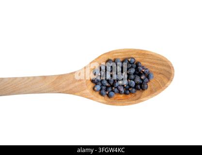 Vue en plan de Juniper, baies de Juniperus communis sur une cuillère en bois, isolées sur fond blanc. Beaucoup d'espace pour le texte. Banque D'Images