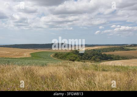Vue sur les South Downs vers la Manche anglaise. Près de Shoreham dans le West Sussex, en Angleterre. (Été très sec) Banque D'Images