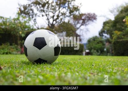 Un ballon de football est posé sur une pelouse verte bien tondue au niveau du sol, les haies et la maison floues en arrière-plan Banque D'Images