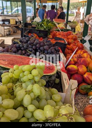 Pirovac, Croatie, 16 août 2026 : Un étal de marché coloré en plein air présente des tas de raisins verts et noirs, des pêches, des tomates, du melon et des herbes avec un acheteur Banque D'Images