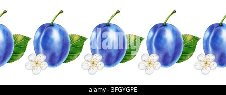 Bordure sans joint aquarellée mettant en vedette des prunes bleues mûres avec des feuilles vertes. Parfait pour le logo d'un produit, les affiches de marché, les emballages alimentaires, les motifs textiles, ma Banque D'Images