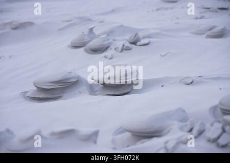 Des piédestaux de sable s'élèvent sur un champ de dunes avec des galets, de petites ondulations et une lumière douce et diffuse Banque D'Images