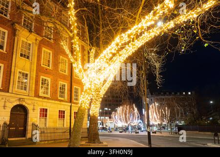 Les lumières festives de Noël illuminent Davies Inn House et les arbres à Holborn Circus à Londres, célébrant la saison des fêtes la nuit. Banque D'Images