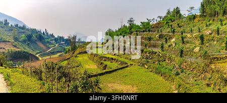 Une vue le long des terrasses du nord du Vietnam près de Sapa au petit matin Banque D'Images