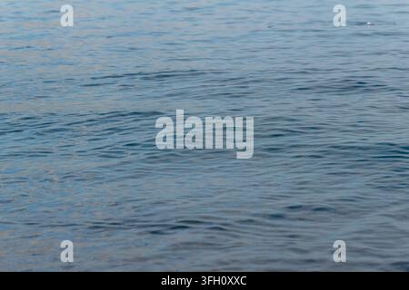 Une surface d'eau bleue avec de légères ondulations et des reflets doux remplit le cadre. Banque D'Images