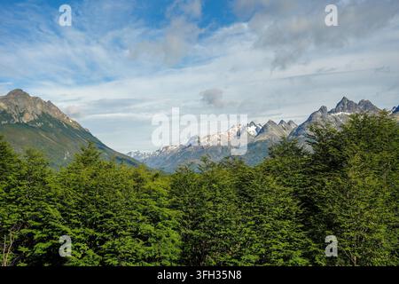 Vue panoramique sur la vallée d'Ushuaia avec une forêt luxuriante de hêtres de lenga au premier plan et des sommets andins déchiquetés enneigés sous un ciel partiellement nuageux. Banque D'Images