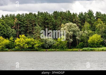 Une forêt de pins luxuriante avec un feuillage vert vif se dresse le long d'une rive de lac calme sous un ciel nuageux. La scène de paysage naturel présente une eau tranquille un Banque D'Images