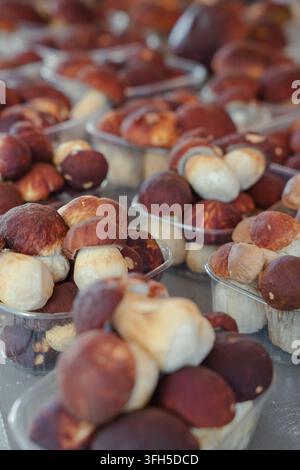 Des champignons de paille frais emballés dans des contenants pour la vente sur un marché alimentaire Banque D'Images