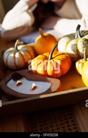 Nature morte d'automne avec citrouilles et une adolescente floue en arrière-plan Banque D'Images