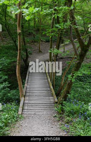 Passereau au-dessus d'un ruisseau Banque D'Images