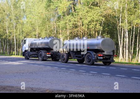 Camion-citerne à lait avec réservoirs doubles circulant sur une autoroute avec vue sur des bouleaux, transportant des produits alimentaires liquides dans un cadre champêtre. Banque D'Images