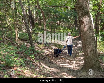 Femme randonnant avec un chien à travers les bois de la forêt d'État éducative de Clemmons à Clayton, en Caroline du Nord. Banque D'Images
