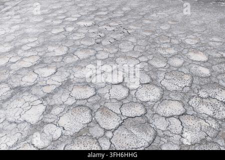 Vue abstraite originale des salines fissurées dans la province de Toledo, Espagne, pendant l'été, révélant des textures minérales pâles, des formes organiques et des couleurs subtiles Banque D'Images