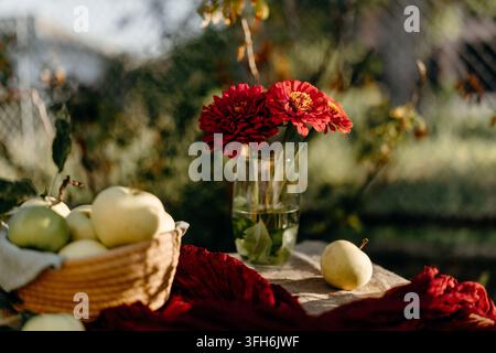 Nature morte d'été rustique mettant en scène des pommes fraîches dans un panier tissé, des fleurs de jardin rouges dans un vase en verre et un tissu rouge disposé à l'extérieur dans une nature chaude Banque D'Images