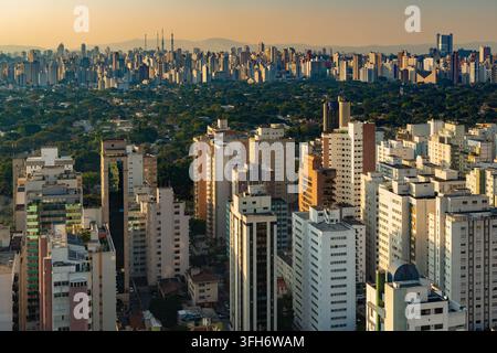 Une vue panoramique large sur le paysage urbain de la ville de São Paulo au Brésil montrant des immeubles de grande hauteur denses et des arbres urbains verdoyants luxuriants Banque D'Images