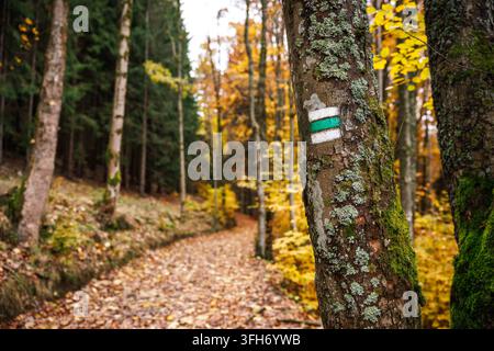 Sentier à travers la forêt d'automne marqué par un panneau de randonnée peint sur le tronc d'arbre Banque D'Images