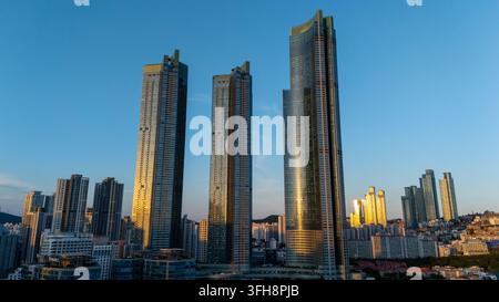 Paysage urbain de Busan mettant en valeur une architecture moderne avec plusieurs gratte-ciel imposants reflétant une lumière dorée contre un ciel bleu clair Banque D'Images