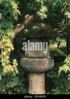 Lanterne japonaise en pierre traditionnelle entourée de feuilles d'érable au Kyoto Gyoen, Kyoto, Japon Banque D'Images