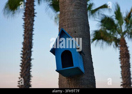 Une vue rapprochée d'une mangeoire pour oiseaux en bois peint en bleu vif, fixée au tronc fibreux d'un palmier. Palmes tropicales et lever de soleil doux et pastel Banque D'Images