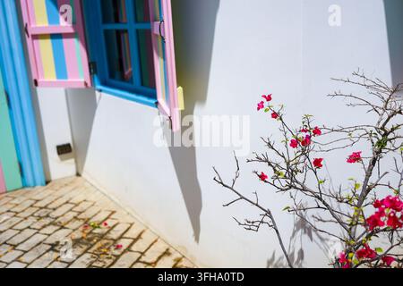 Une fenêtre colorée et une branche fleurie à côté d'un mur blanc baigné de soleil et d'un chemin pavé créent une scène méditerranéenne joyeuse avec des détails architecturaux éclatants Banque D'Images
