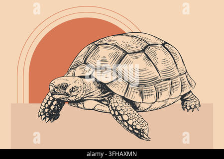 Gravure vintage de tortue avec illustration vectorielle géométrique rétro du coucher de soleil Illustration de Vecteur