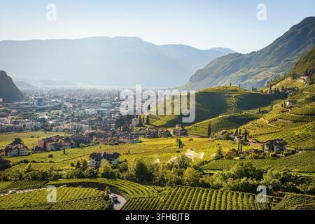 Vue sur l'église Santa Maddalena et les vignes en terrasses dans les collines de Rencio en direction du bassin urbain de Bolzano. Trentin-Haut-Adige, Italie Banque D'Images