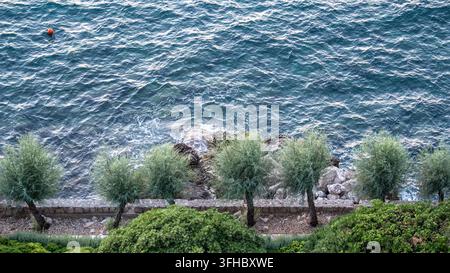 Tamaris et un chemin de mur de pierre le long de la côte rocheuse au-dessus de la mer Adriatique turquoise, avec une bouée marqueur orange au large, vue d'en haut Banque D'Images