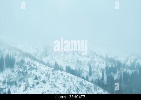 Vue minimaliste de pentes montagneuses enneigées avec des pins disparaissant dans un épais brouillard. Ce fond naturel atmosphérique est idéal pour les voyages hivernaux Banque D'Images