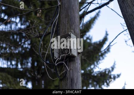 Close-up d'une boîte de jonction électrique ancienne et ouverte sur un poteau utilitaire en bois patiné, exposant des fils emmêlés, mettant en évidence une infrastructure rurale négligée Banque D'Images