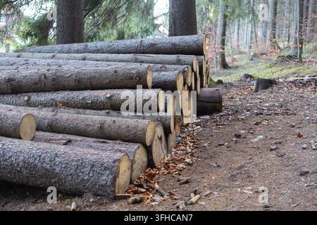 Gros plan de gros troncs d'arbres empilés horizontalement sur un chemin de terre dans une forêt naturelle, symbolisant la foresterie durable, la production de bois et le renouvellement Banque D'Images