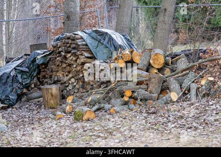 Grossissement de bûches de bois coupées et empilées, partiellement recouvertes de bâches sombres, avec des pièces individuelles reposant sur le sol forestier, idéales pour l'énergie hivernale Banque D'Images