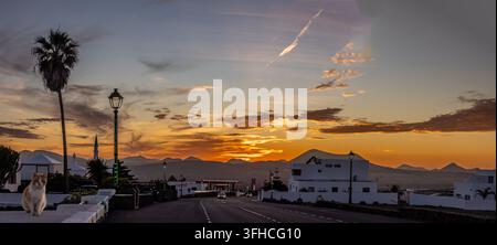 Vue panoramique au coucher du soleil de Teguise, à Lanzarote, montrant les maisons traditionnelles blanchies à la chaux, les collines volcaniques, les nuages dorés et un chat Banque D'Images