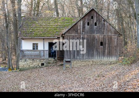 Bâtiment agricole en bois rustique avec un toit moussu parmi les arbres d'automne au Muzeul ASTRA à Sibiu, Transylvanie, Roumanie. Banque D'Images