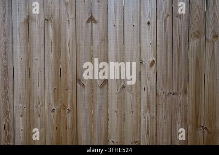 Clôture d'intimité en bois naturel patiné avec des planches verticales inégales, une forte veinure du bois, des nœuds, des écarts entre les planches et des dépôts minéraux blancs Banque D'Images