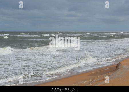Faune de Floride Vague se brisant au rivage Banque D'Images