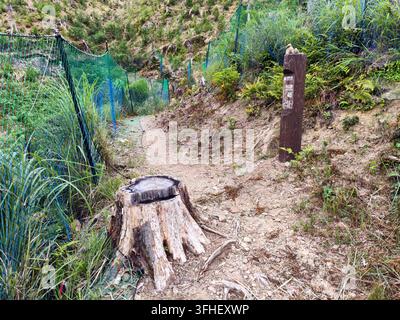 Un panneau en bois rustique affichant le marqueur numéro quarante-cinq se dresse à côté d'un sentier de montagne non pavé près d'une souche d'arbre en bois érodé et d'une protection Banque D'Images