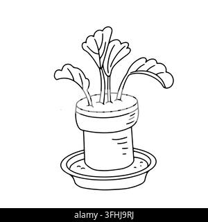 Esquisse vectorielle de plante d'intérieur en pot, icône de gribouillis. Illustration de design de décoration intérieure minimaliste moderne et tendance. Loisir de jardinage Illustration de Vecteur