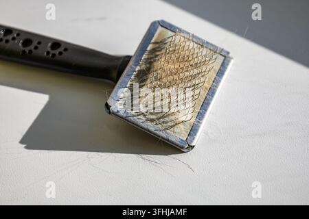 Brosse lissante pour animaux de compagnie remplie de poils perdus posée sur une surface blanche sous la lumière naturelle du soleil. Un éclairage directionnel vif met en valeur la texture des poils épars Banque D'Images
