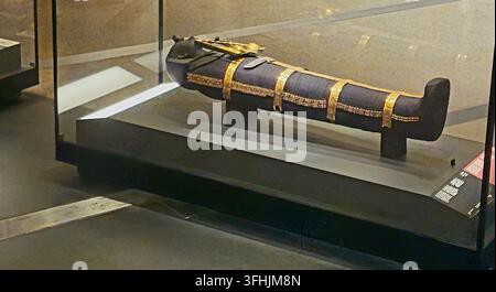 Gizeh, Égypte, 5 septembre 2026 : les bandelettes dorées rituelles de momie, les mains dorées croisées tenant le houlette et le fouet royaux, un scarabée en résine reposant sur le noir Banque D'Images