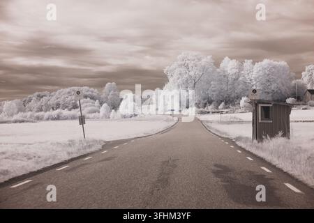 Une route traverse un paysage modifié par un filtre infrarouge. Les arbres et les champs apparaissent brillants, et le ciel présente une texture unique. Cette scène capture Banque D'Images