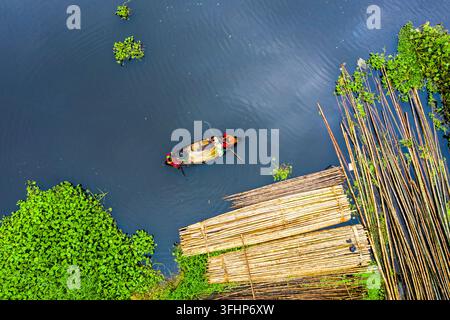 Munshiganj, Bangladesh – 01 août 2021 : Vue aérienne d’un petit bateau avec deux personnes naviguant à travers des jacinthes d’eau près de radeaux en bambou sur une rivière. Banque D'Images