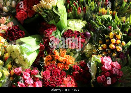 Bouquets colorés de fleurs fraîches coupées arrangées ensemble. Fond floral pour roses, tulipes, décoration, célébration, cadeau, romance et fleuriste saisonnier. Banque D'Images