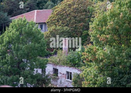 Un vieux bâtiment en briques en ruine avec une cheminée intacte se dresse envahi par des arbres verts denses et une végétation qui reprend l'architecture effritée. Banque D'Images