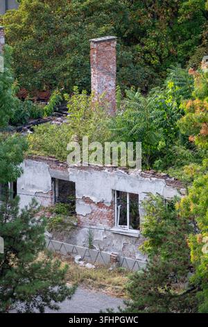 Un vieux bâtiment en briques en ruine avec une cheminée intacte se dresse envahi par des arbres verts denses et une végétation qui reprend l'architecture effritée. Banque D'Images