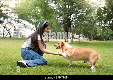 Interaction joyeuse avec Corgi dans le parc. Jeune femme jouant avec son chien dehors. Banque D'Images