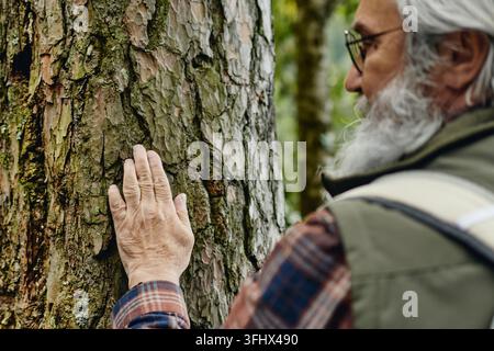 Homme âgé touchant l'écorce d'un arbre lors d'une promenade dans la nature en forêt Banque D'Images